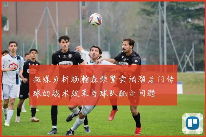 拓媒分析杨瀚森频繁尝试溜后门传球的战术效果与球队配合问题