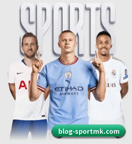 用内容积累长期价值 | mksports